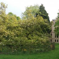 Leer Ausflug 13.05.2017