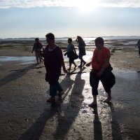 Mittsommer am Strand 15.06.2017