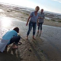 Mittsommer am Strand 15.06.2017