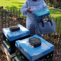 Landfrauen Bienenvolk