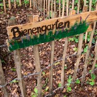 Landfrauen Bienenvolk