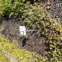 Rosenschnittseminar 02.04.2022