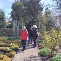 Rosenschnittseminar 02.04.2022